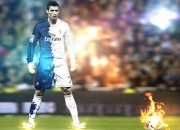 游戏试玩模拟器-绿茵场上的鹈鹕捕食，从德甲争冠焦点战看竞技体育的稳稳拿下哲学