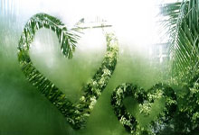 开云棋牌入口-美洲杯｜利物浦惊天爆冷！技术统计揭豪门陨落之谜